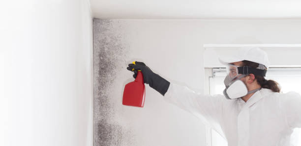 Best Emergency Mold Removal  in Rutgers University Busch Campus, NJ